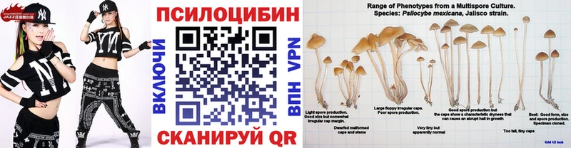 Галлюциногенные грибы мицелий Советский