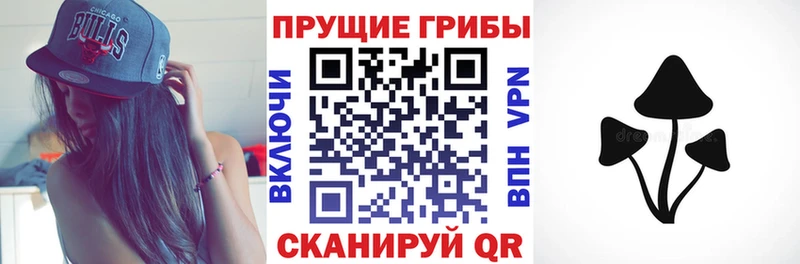 Псилоцибиновые грибы прущие грибы Советский